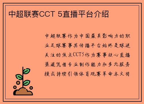 中超联赛CCT 5直播平台介绍
